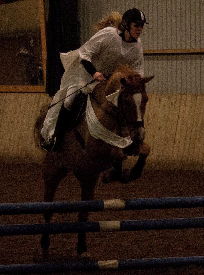 Anden særlig race Calibra - Kostume spring på ANE :D
Foto: Rebecca Sander Andersen billede 3