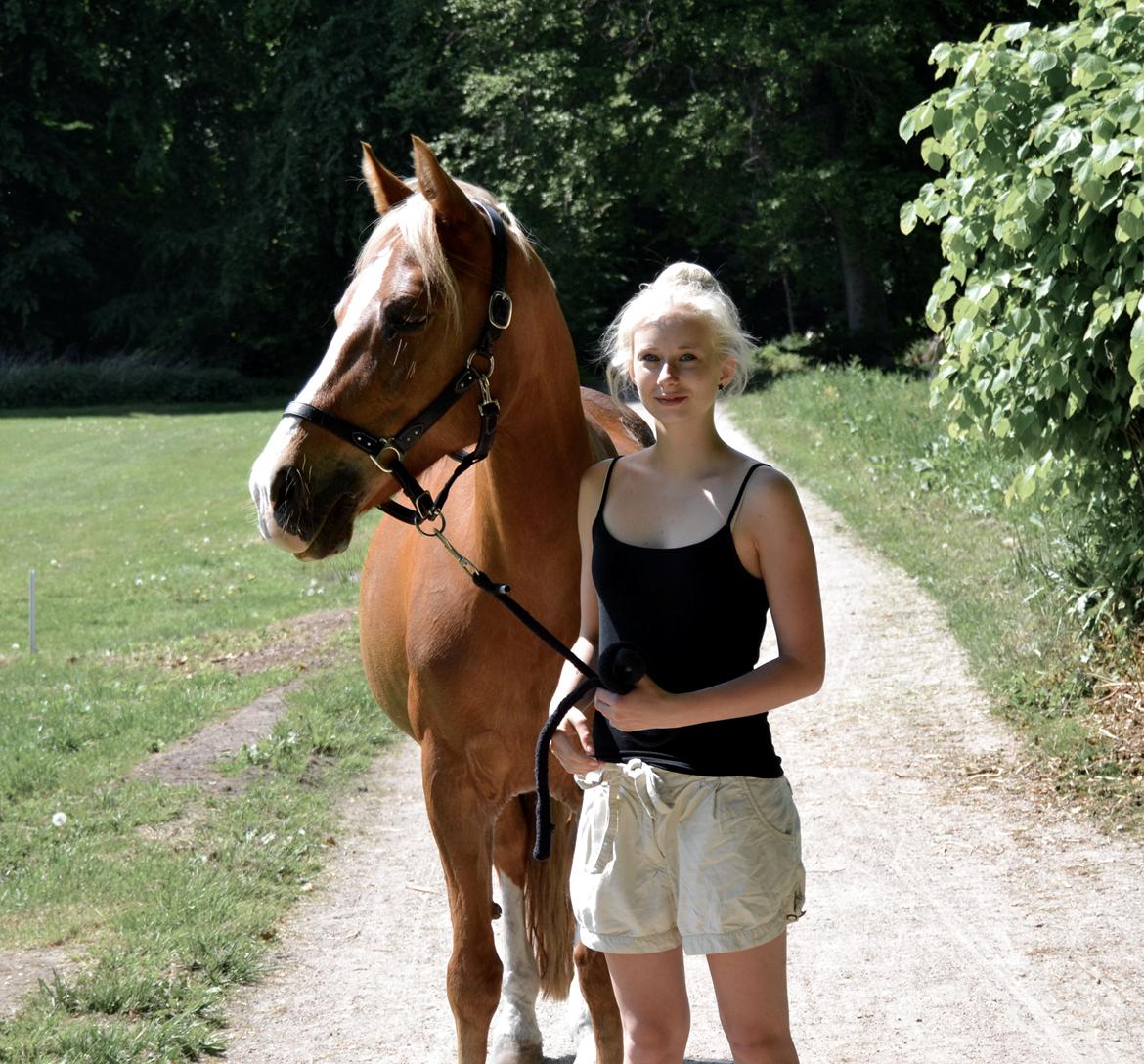 New Forest Indian Princess billede 5