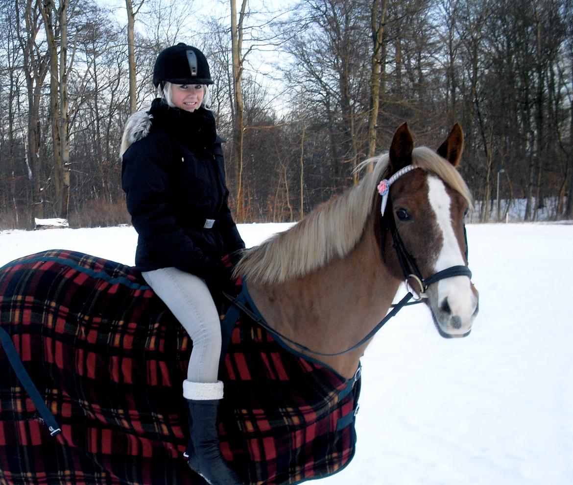 New Forest Indian Princess billede 6