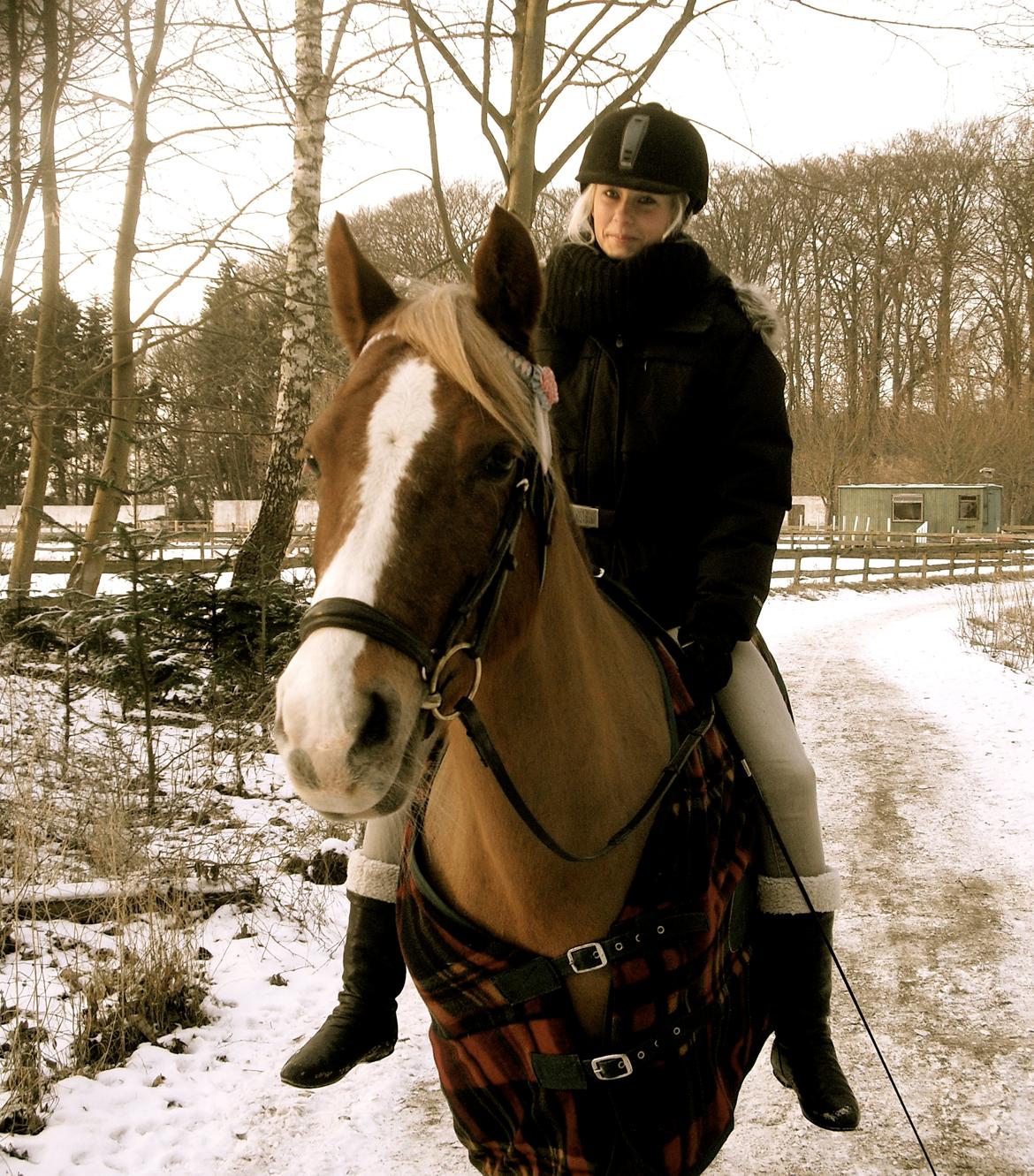 New Forest Indian Princess billede 9