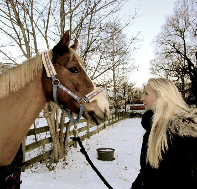 New Forest Indian Princess billede 1