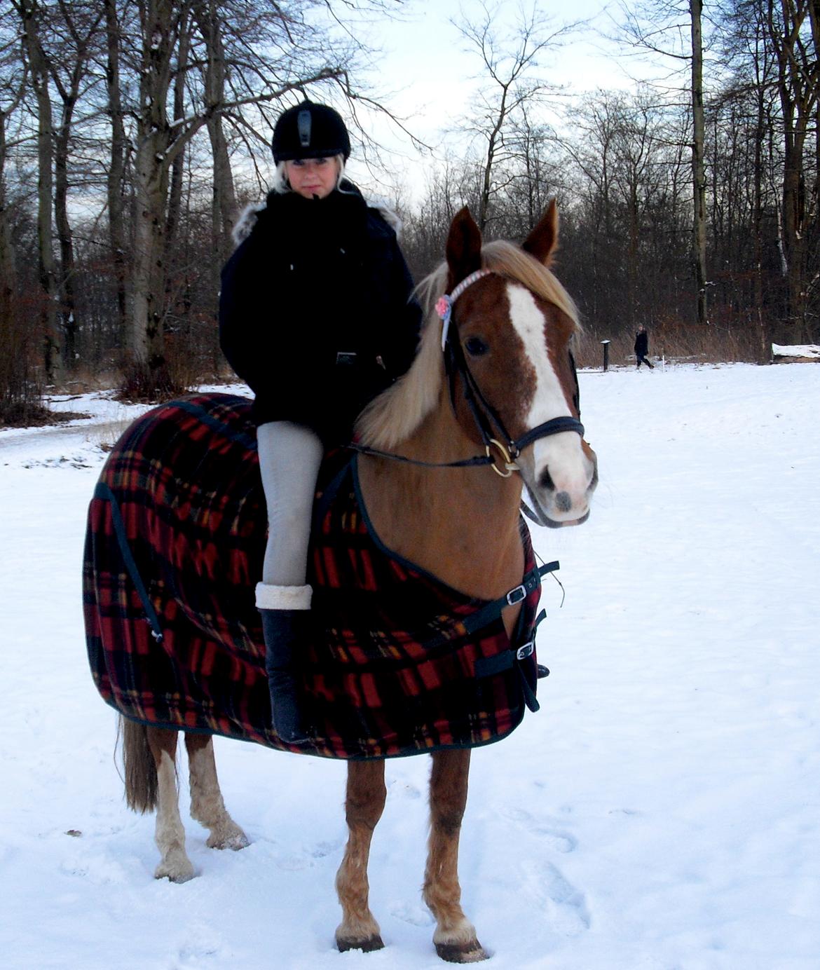 New Forest Indian Princess billede 13