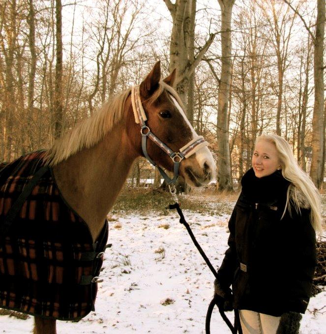 New Forest Indian Princess billede 15