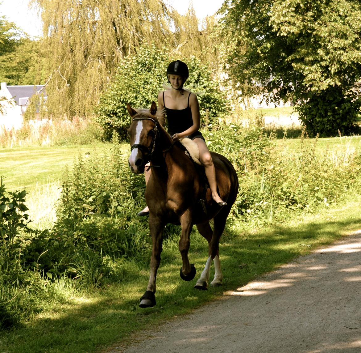 New Forest Indian Princess billede 7