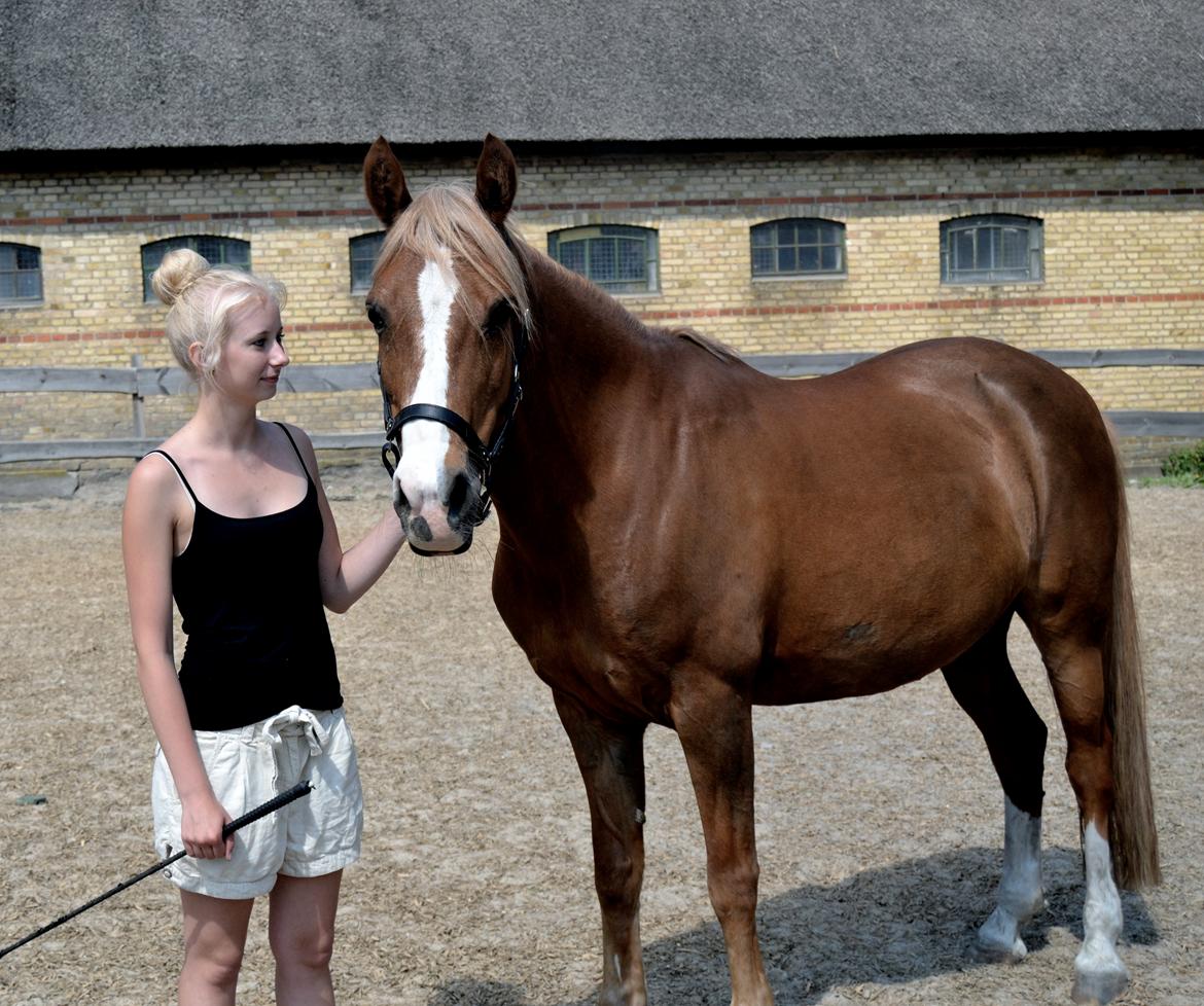 New Forest Indian Princess billede 2