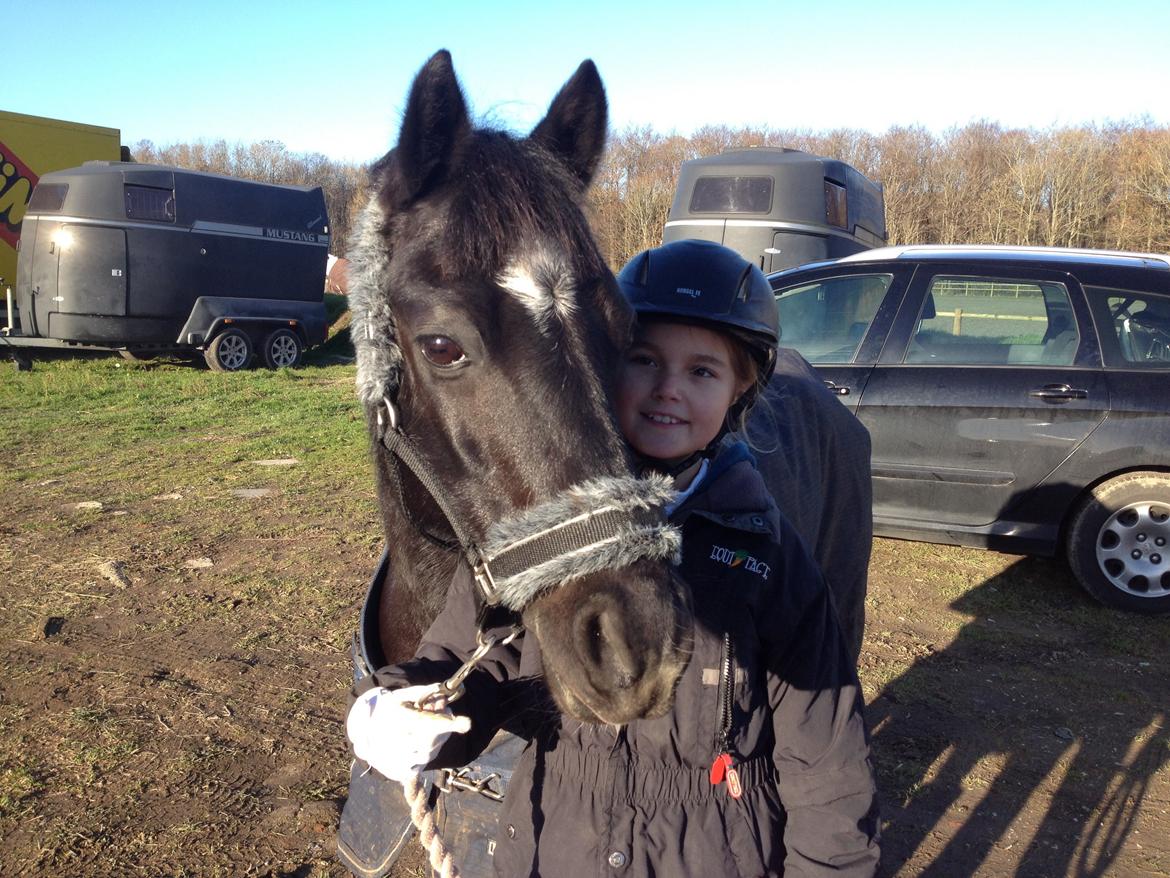 Anden særlig race Maccoya - solgt - tidligere pony :-) billede 14