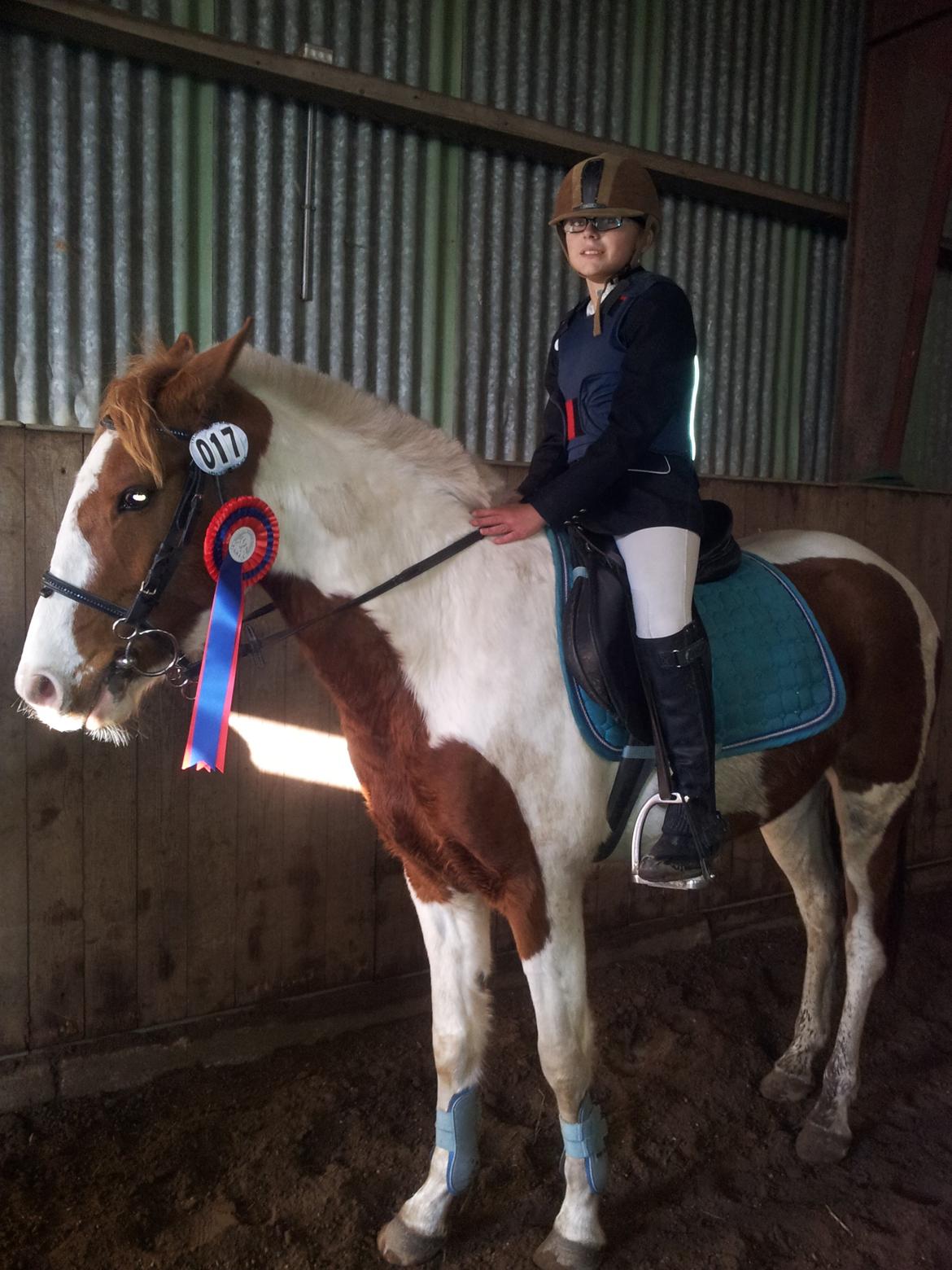 Pinto Indurain Delight - Den Brogede Skønhed billede 15