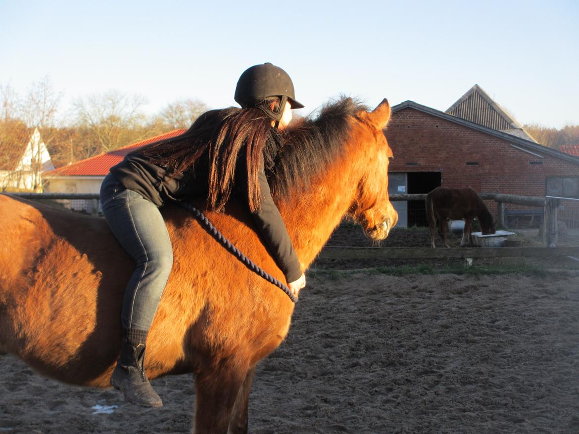 Anden særlig race Sigurd - Kun fordi jeg stoler på dig <3. billede 1