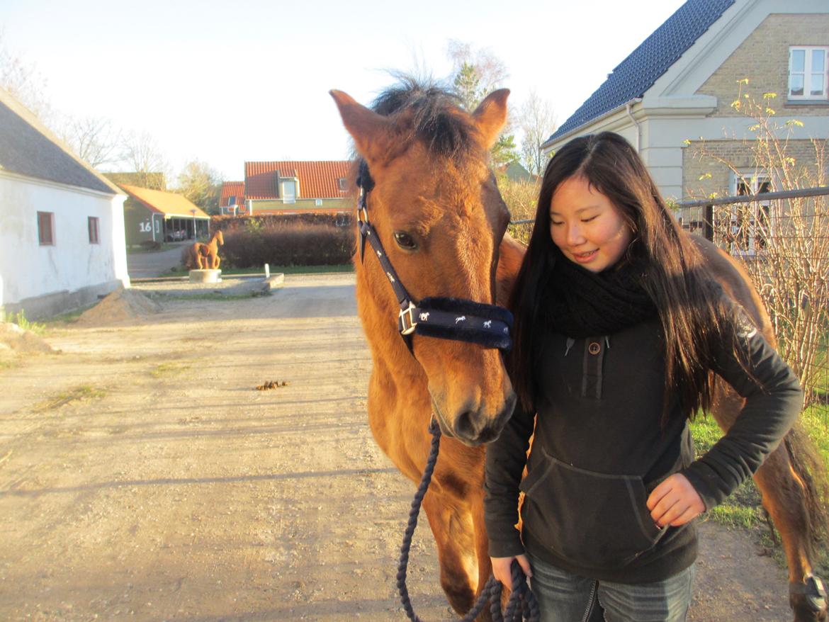 Anden særlig race Sigurd billede 8