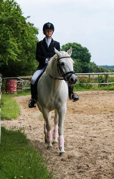 Connemara Katrinebjergs Komtesse | Tøsen [Himmelhest] - Juni 2011 billede 7