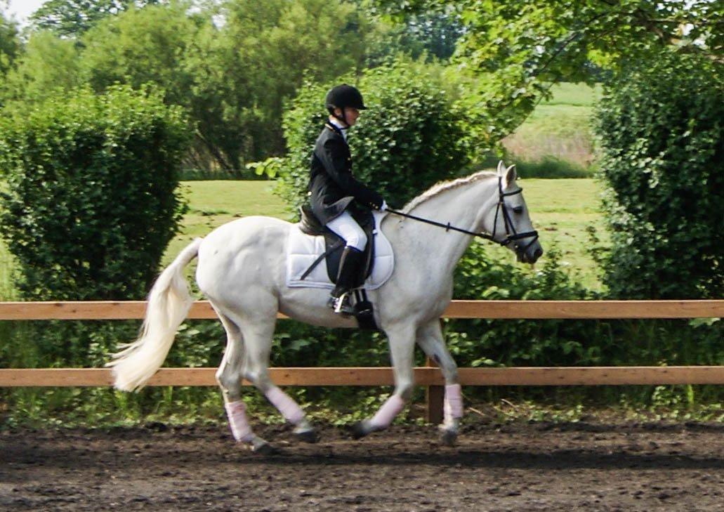 Connemara Katrinebjergs Komtesse | Tøsen [Himmelhest] - Juni 2011. Vores første stævne sammen.  billede 2