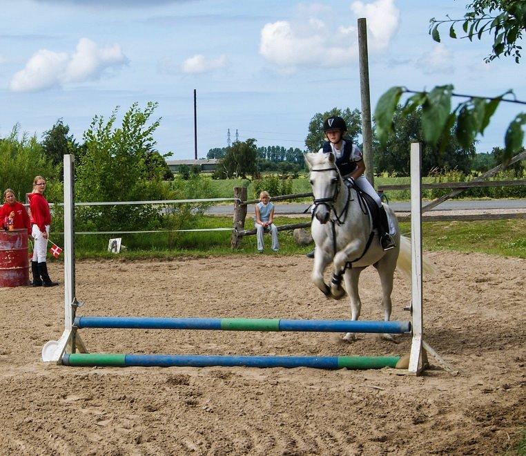 Connemara Katrinebjergs Komtesse | Tøsen [Himmelhest] - Juni 2011 billede 12