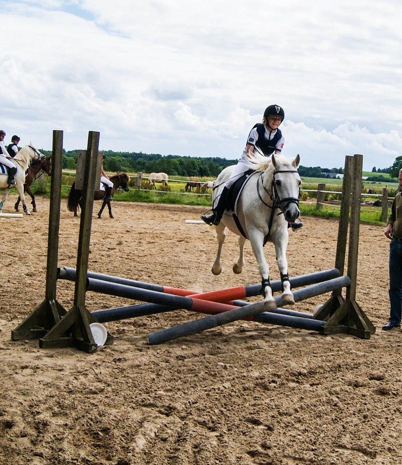 Connemara Katrinebjergs Komtesse | Tøsen [Himmelhest] - Juni 2011 billede 9