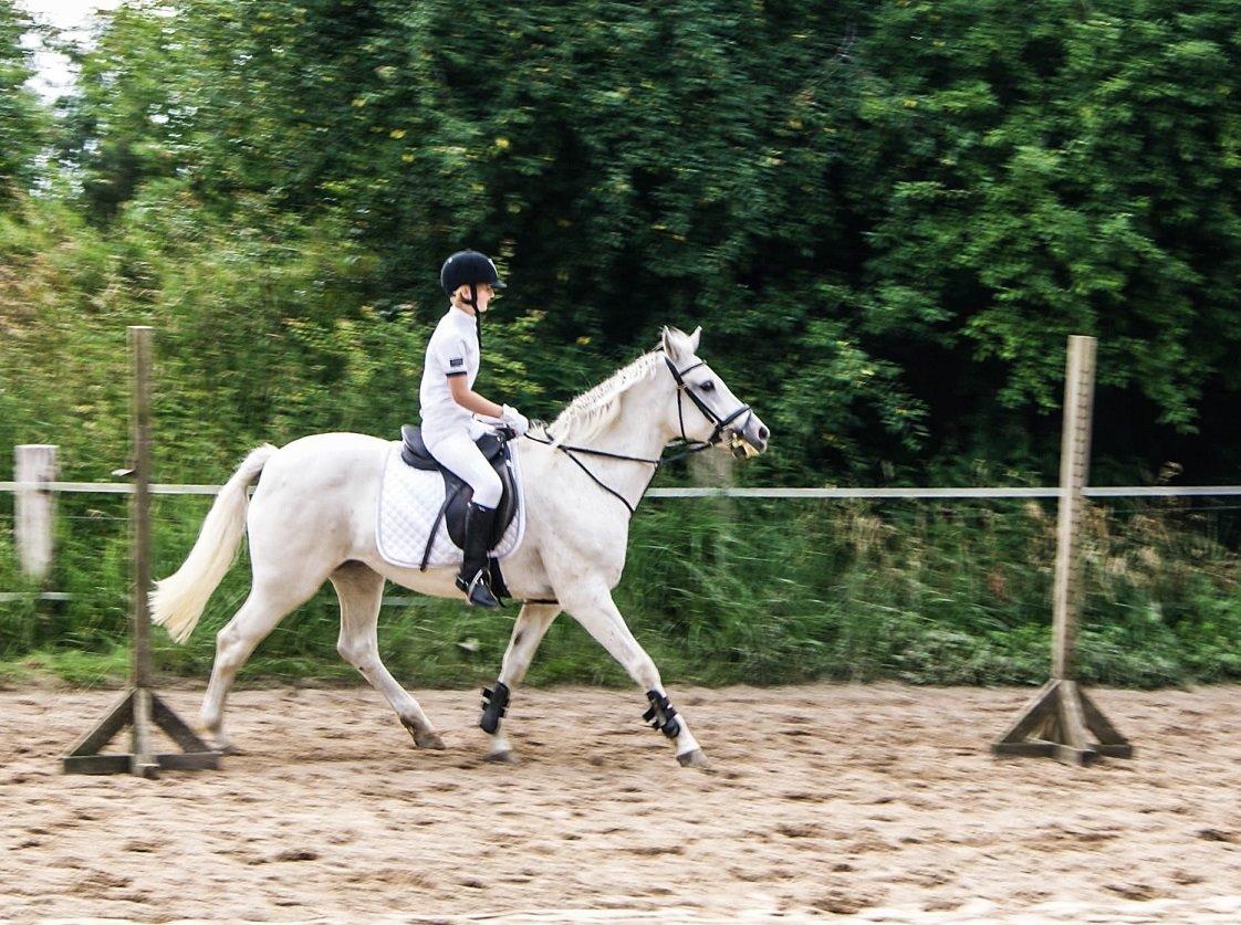 Connemara Katrinebjergs Komtesse | Tøsen [Himmelhest] - Juni 2011 billede 14