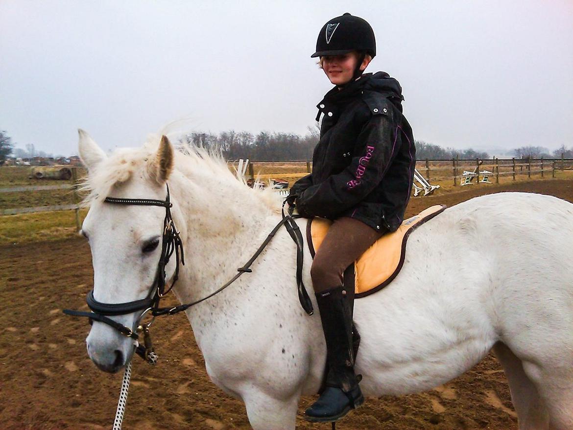 Connemara Katrinebjergs Komtesse | Tøsen [Himmelhest] - Marts 2011. Første gang jeg sad på hende billede 15
