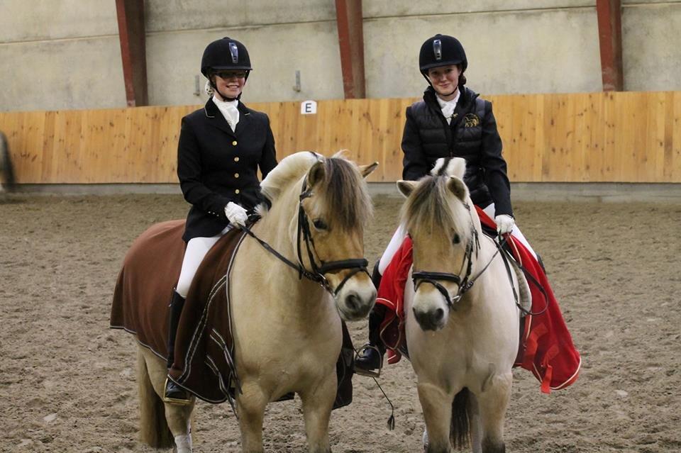 Fjordhest Campari aka. Nullergøjser<3 - 23/11-13 Campari til venstre og hans halvbror Højgaards Induc og Line Hornbæk til højre <3 :D Foto: Lines papmor billede 19