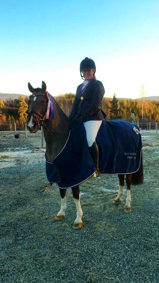 Hollandsk Sportspony | Radec<3 | (Toblerone) - Klubmestere 2013! verdens bedste! billede 13