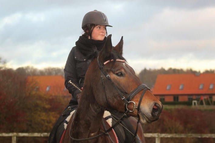 Oldenborg Paddington Skrold billede 13