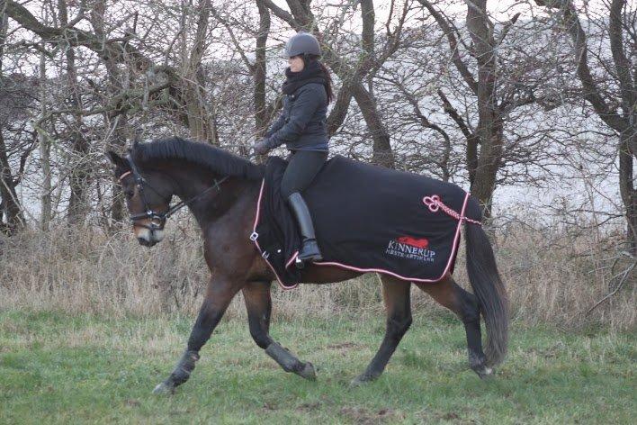 Oldenborg Paddington Skrold billede 6