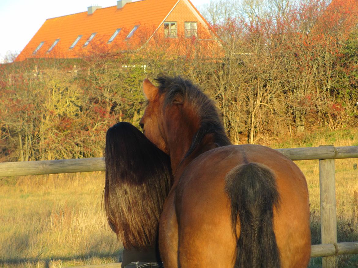 Anden særlig race Sigurd - Når enden er god, er alting godt! :-D billede 10