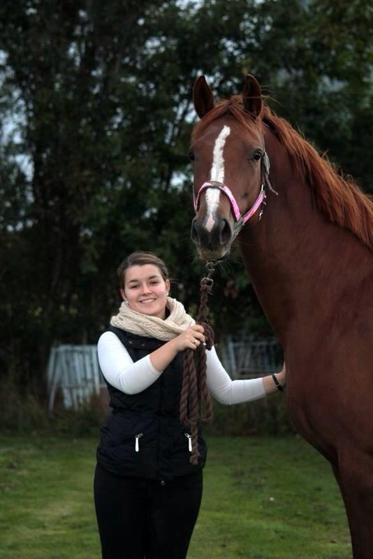 Dansk Varmblod Déjà Vu - <3 <3 <3 billede 9