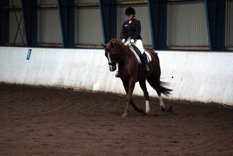 Dansk Varmblod Déjà Vu - LC1 i SJR 27/10/13 billede 4