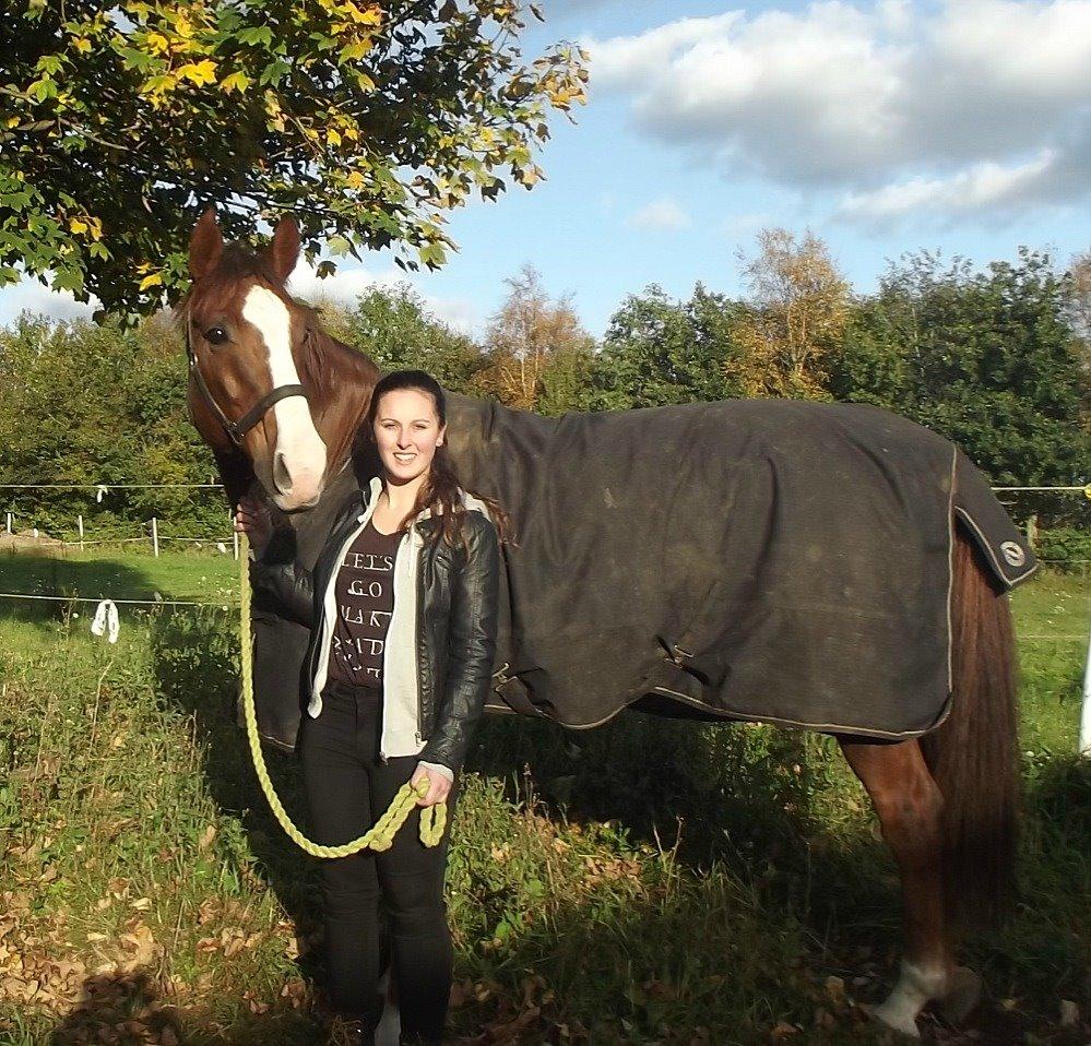 Dansk Varmblod Latino Lorenzo - Den 28 Oktober 2013
 Den dag vi købte ham <3 billede 6