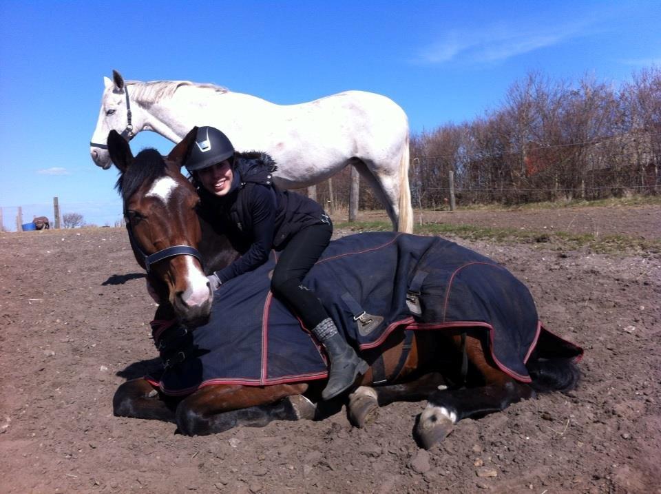 Dansk Varmblod Åen`s April - B - HEST <3. - Verdens bedste P! <3  billede 19