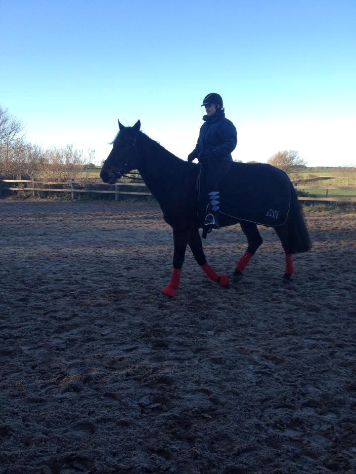 Traver Oasis Simoni billede 5