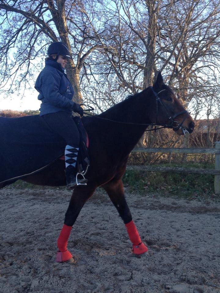 Traver Oasis Simoni billede 13