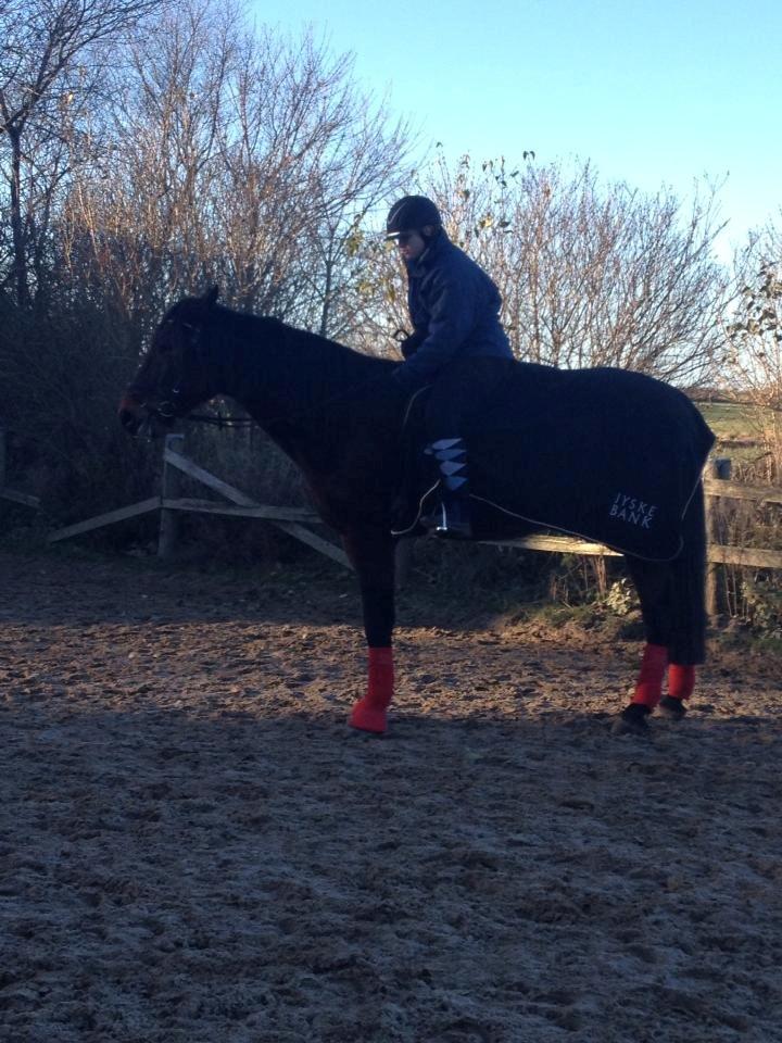 Traver Oasis Simoni billede 7