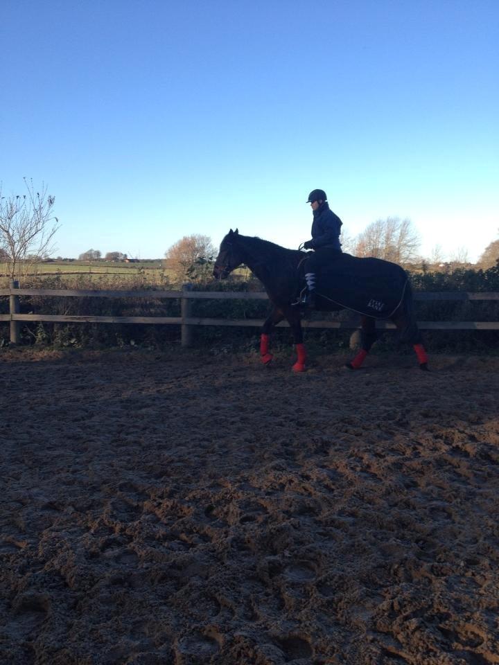 Traver Oasis Simoni billede 16