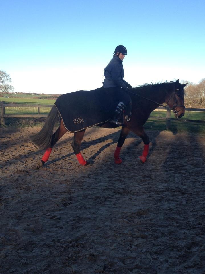 Traver Oasis Simoni billede 3