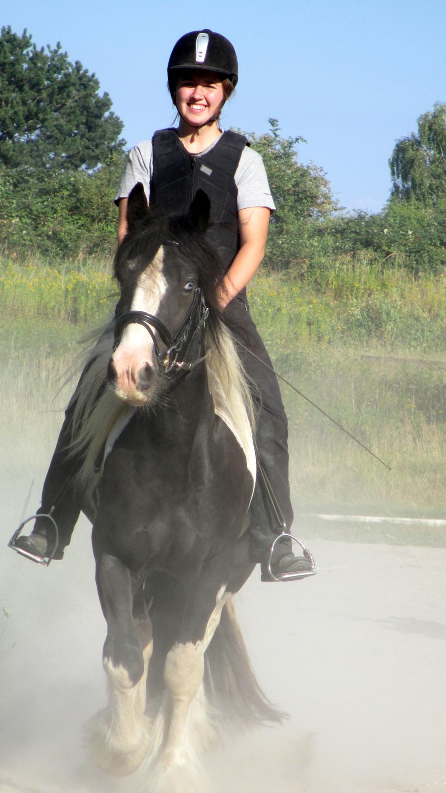 Tinker Bakkegaardens Aragon billede 8