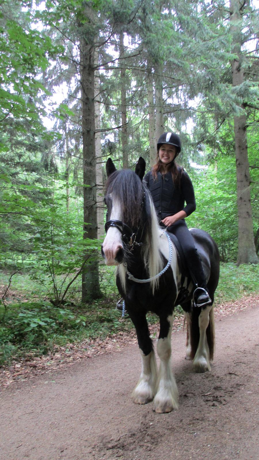 Tinker Bakkegaardens Aragon billede 11