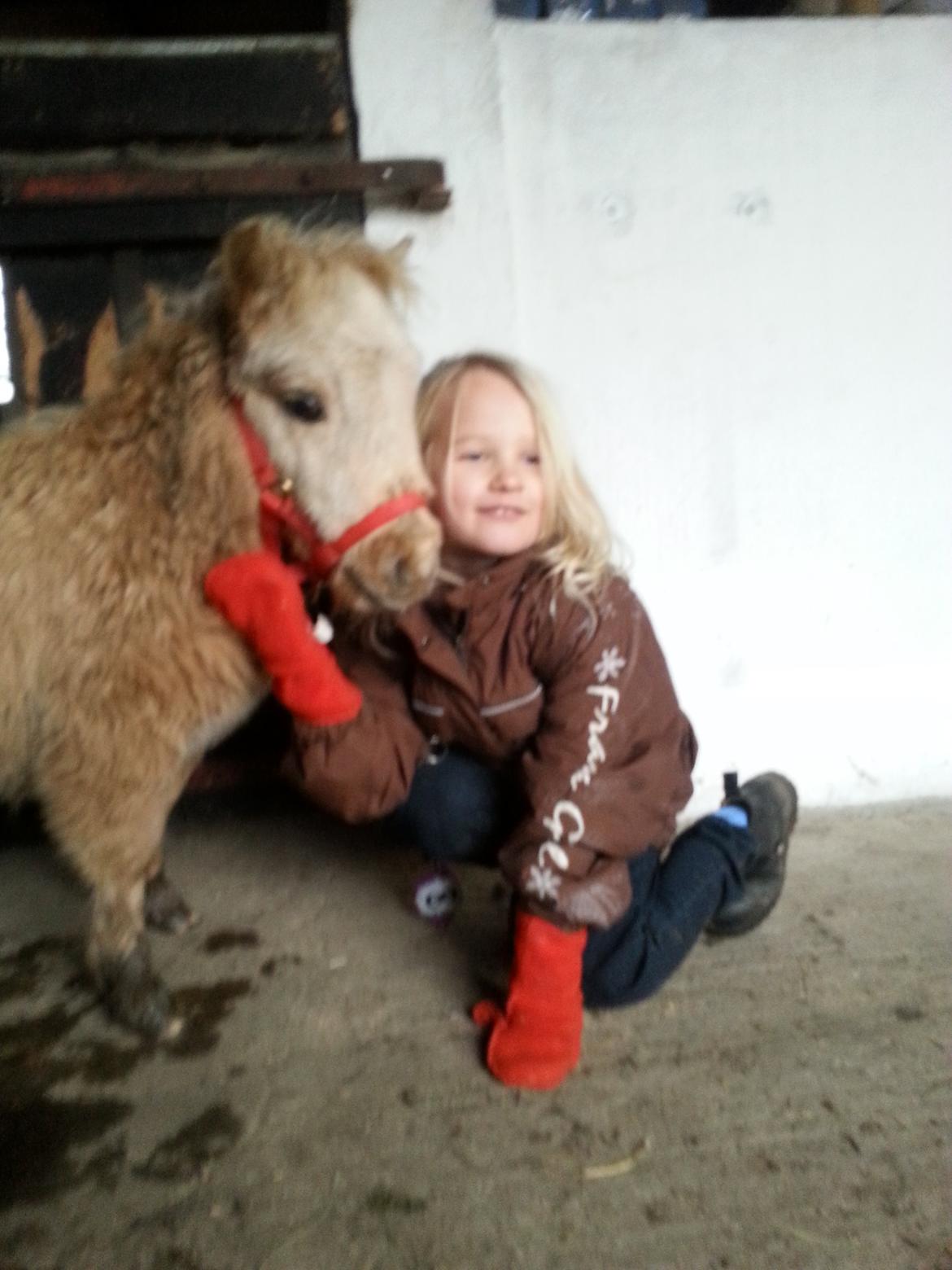 Anden særlig race Viktoria billede 14