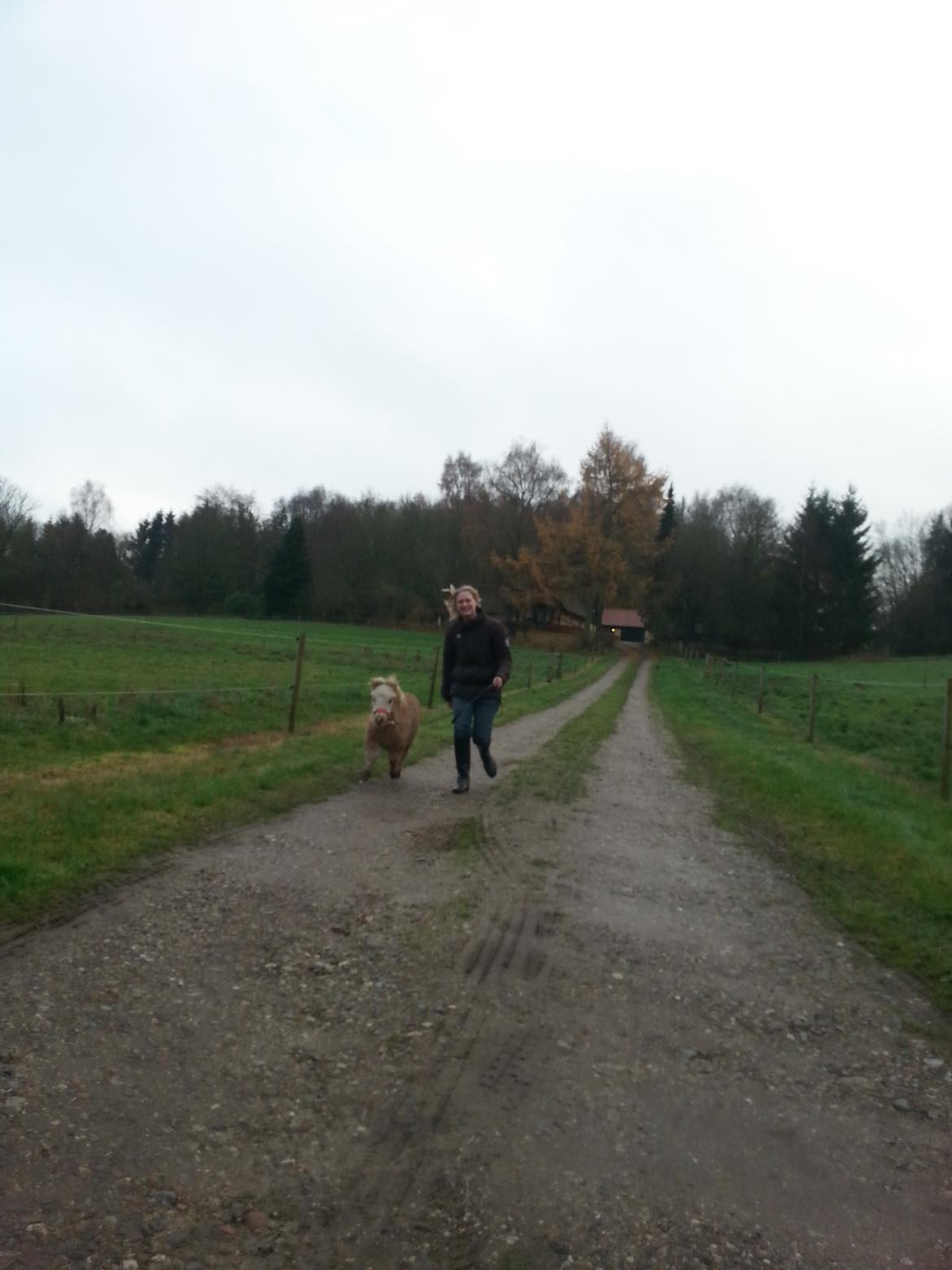 Anden særlig race Viktoria billede 18