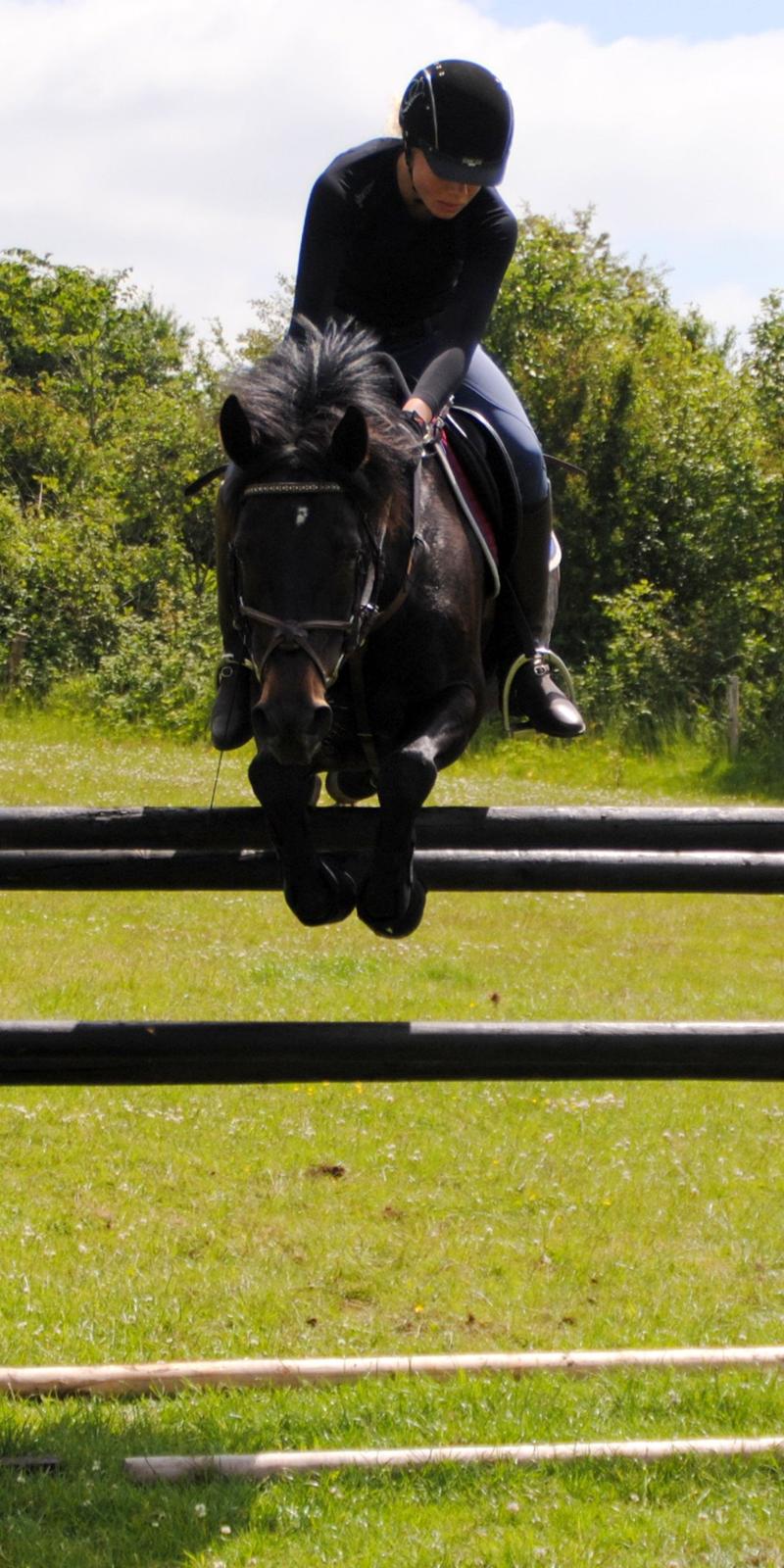 DSP Samara Spring pony billede 4