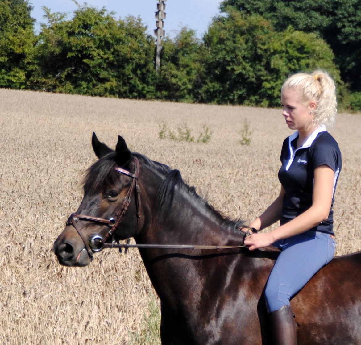 DSP Samara Spring pony billede 16