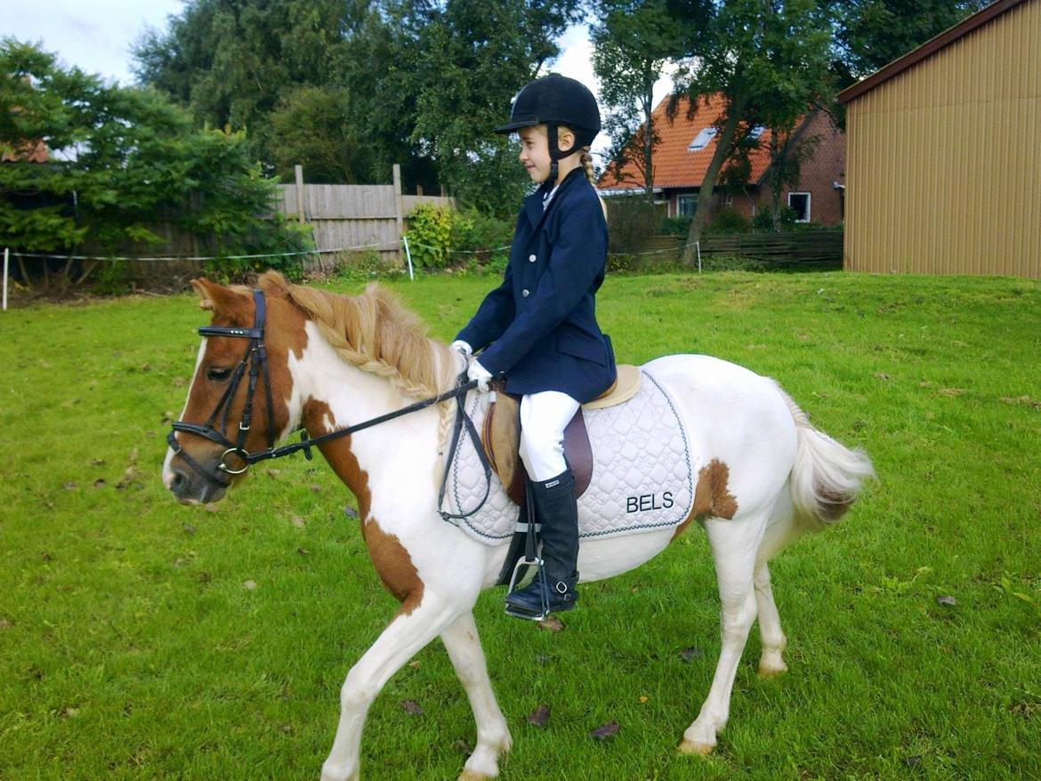 Anden særlig race Lolli billede 13