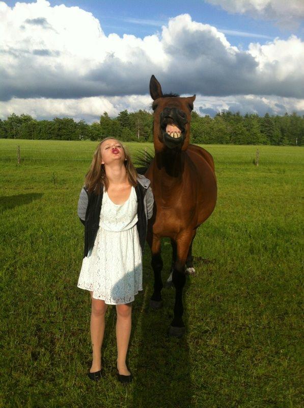 Dansk Varmblod Vestegaardens Leonora billede 4