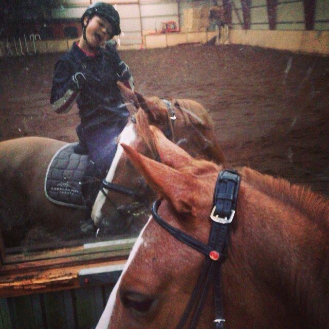 Dansk Varmblod Imagine My Heart Z [Låner] billede 14