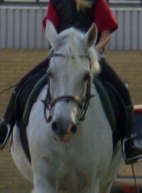 DSP Madeleine - Simply the best <3 billede 2