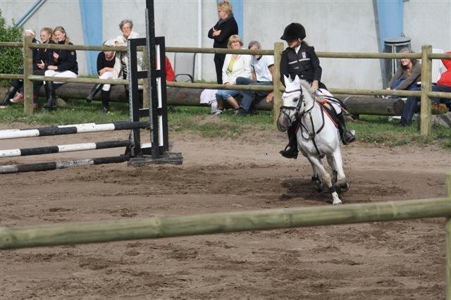Welsh Pony (sec B) Fakla Chico (Min datters pony) SOLGT billede 9