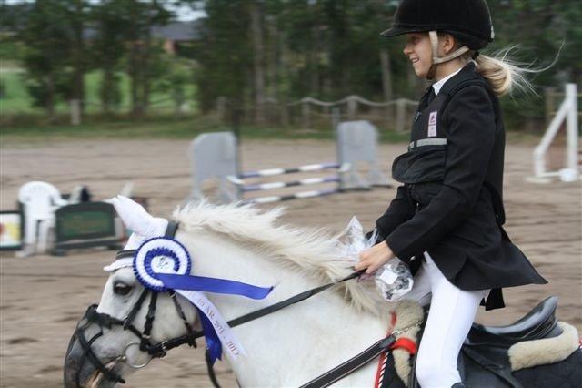 Welsh Pony (sec B) Fakla Chico (Min datters pony) SOLGT billede 12