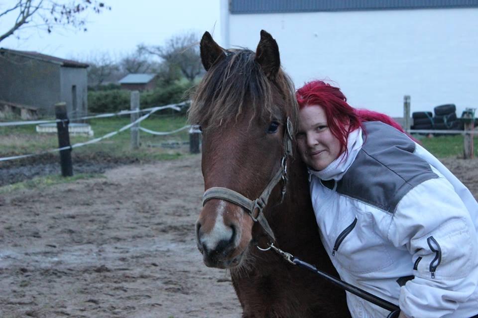 Pinto zanthos billede 5