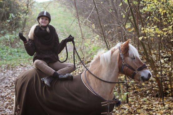 Haflinger Asterix - Gammelt billede :') billede 3