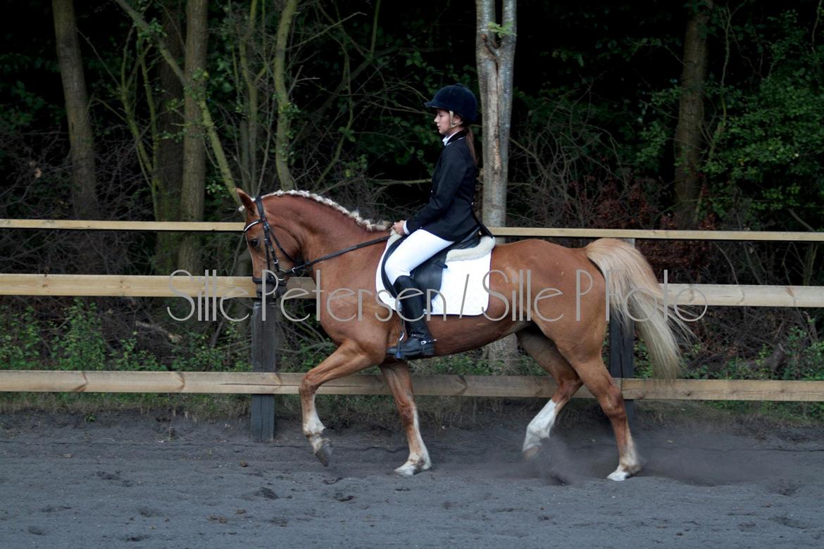 Anden særlig race June - June<3 billede 4