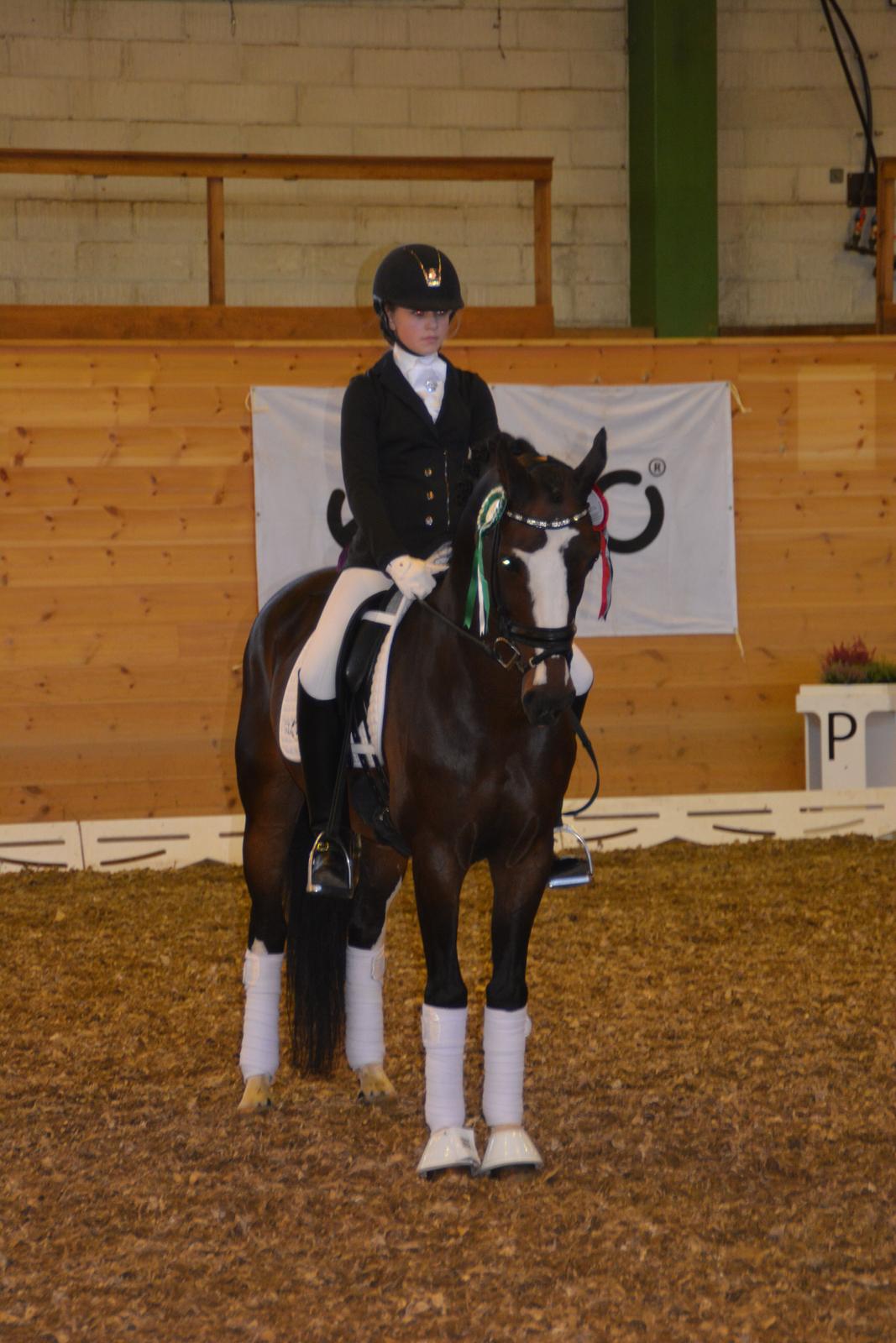 Tysk Sportspony Farbenfroh - Ecco cup 3. kval. præmie overrækkelse<3<3 billede 23