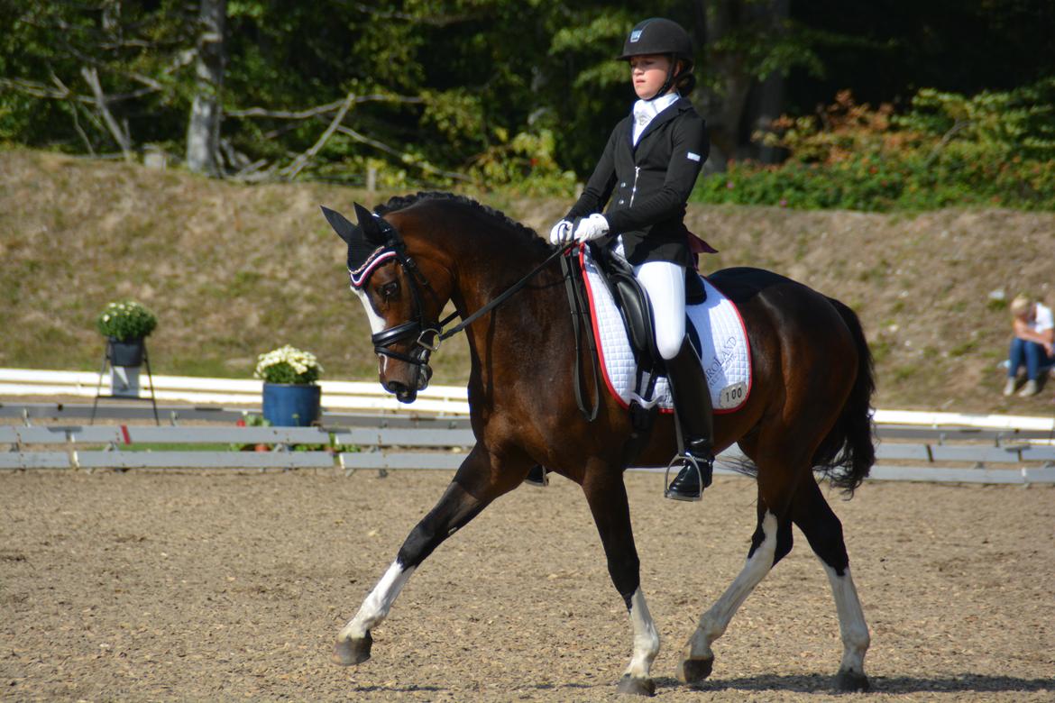 Tysk Sportspony Farbenfroh - Der findes ingen som dig!!!!<3:* billede 26